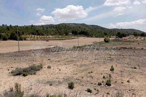 Helårsgrund i Yecla, Murcia, Yecla - € 25.000 | Ref: SF0457 - foto 8